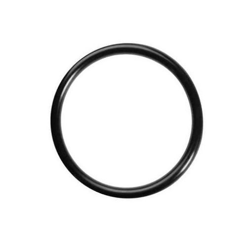 Slika GUMICA DIHTUNG O-RING 04112 VITON BIANCHI 36211816
