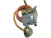 Slika TERMOSTAT VES MASINE IGNIS WHIRPOOL 149IG03 IG4816
