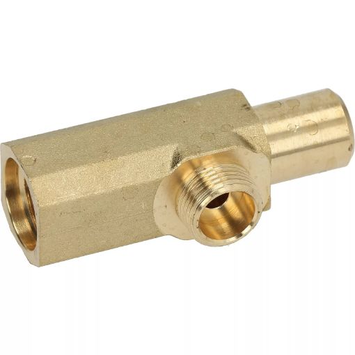 Slika TELO SLAVINE 1348038 - NA